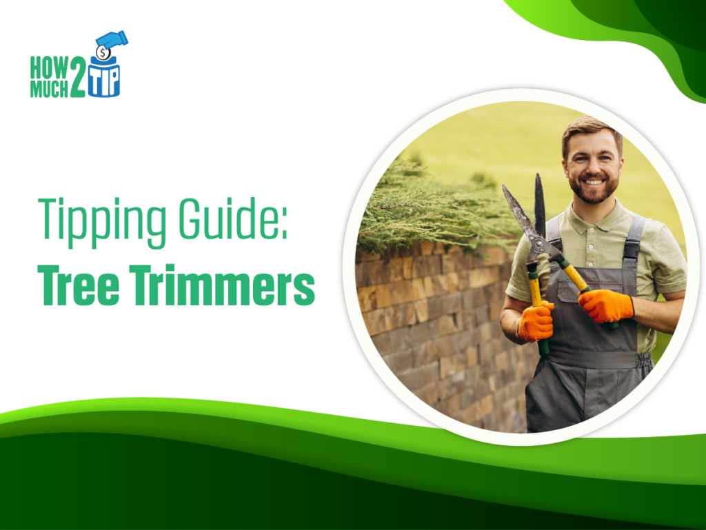 How Much to Tip the Tree Trimmers? Read This Blog Now!