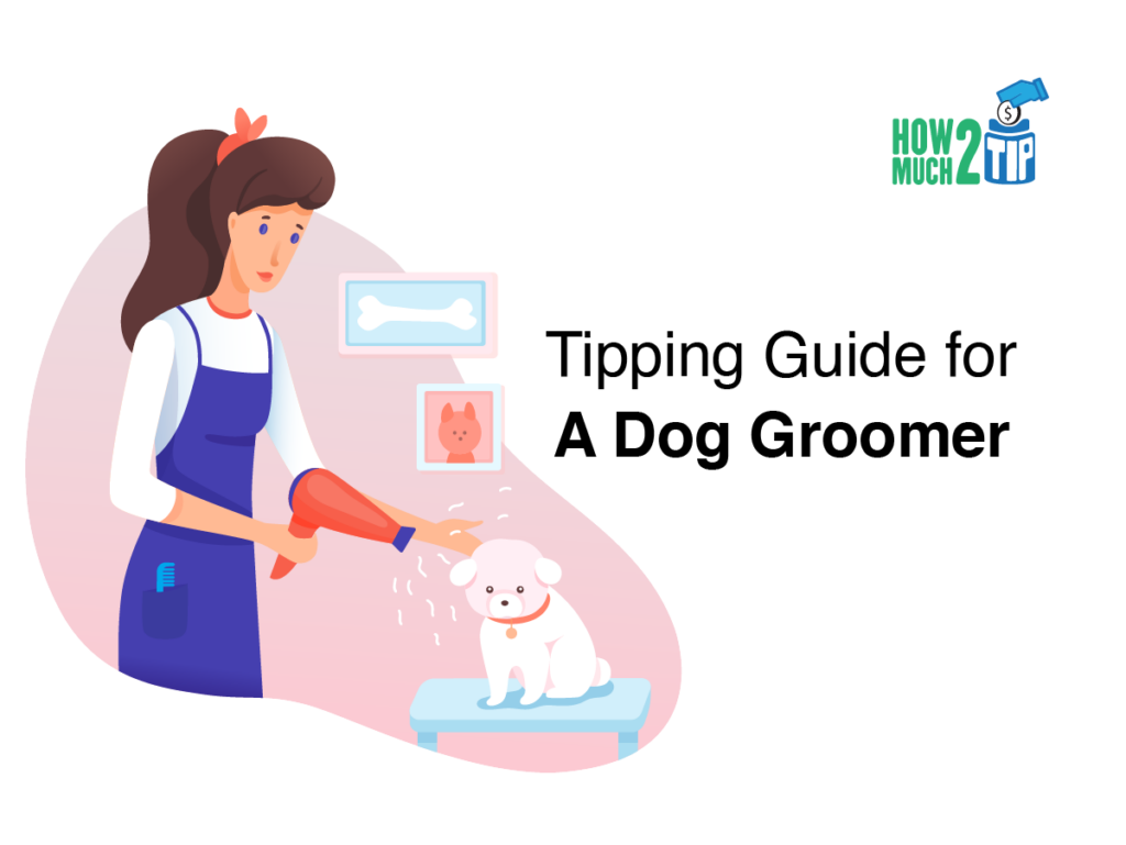 How Much to Tip A Dog Groomer? Learn here!